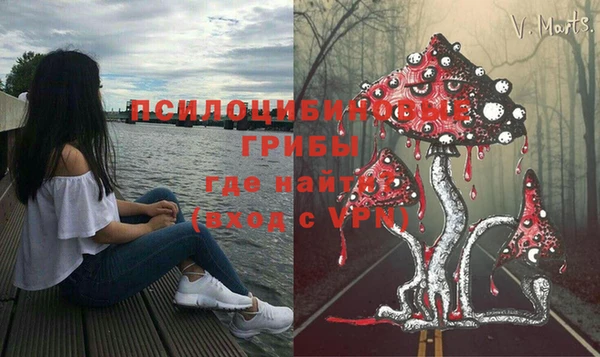 дурь Абаза