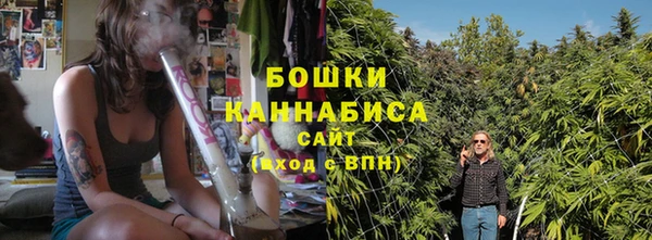 ПСИЛОЦИБИНОВЫЕ ГРИБЫ Медвежьегорск