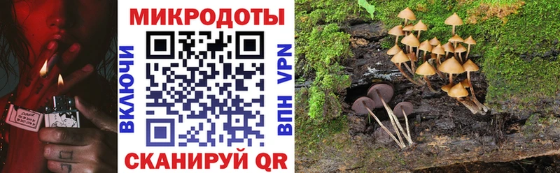 Галлюциногенные грибы MAGIC MUSHROOMS  где можно купить наркотик  hydra вход  Великий Новгород 