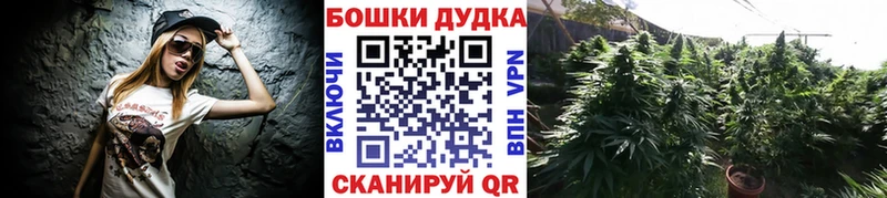 Бошки марихуана гибрид  закладки  Великий Новгород 